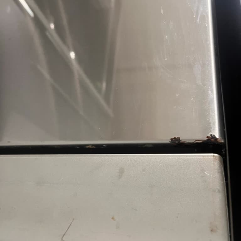 Bosch Bulaşık Makinesinde Kısa Sürede Paslanma Sorunu