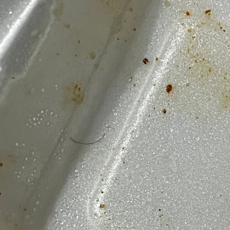 Öncü Döner Hijyen İhlali Ve Kaba Telefon Yanıtı