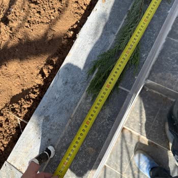 @eceberya_botanik Eksik Ve Yanlış Boydaki Fidanlar İçin Tam İade Talebi