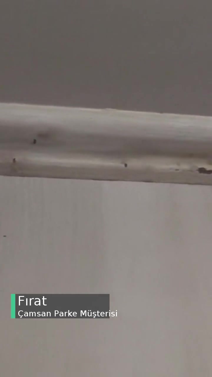 Çamsan Parke Kalitesiz, Soyuluyor! videonun kapak resmi
