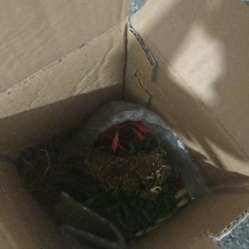 Yurtiçi Kargo Kastamonu Şubesinden Gelen Hasarlı Kargolar Ve Dikkatsiz Taşıma