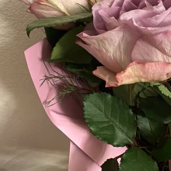 Hızlı Çiçek | Hizlicicek.com Gelen Ürün Tam Bir Hayal Kırıklığı Oldu