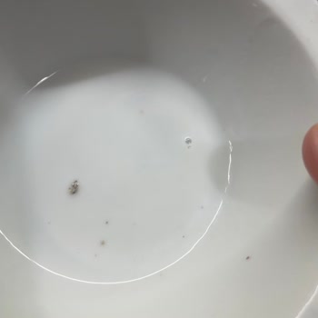 Sütaş Ayranında Görülen Siyah Ve Gri Cisimler Hijyen Skandalı