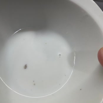 Sütaş Ayranında Görülen Siyah Ve Gri Cisimler Hijyen Skandalı