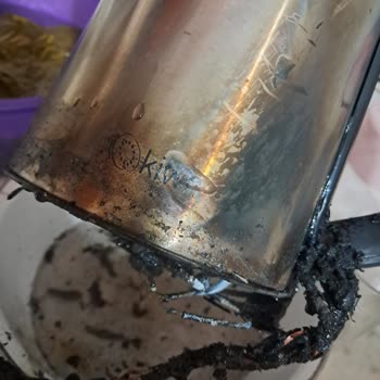 Kiwi Home Kettle Hiçbir Etken Olmadan Tutuştu!