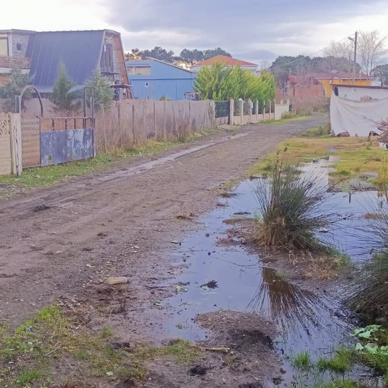 Deniz Suyunun Çamlık Sahilinde İşgaline Karşı DSİ'den Acil Tıkanıklık Açılması Talebi