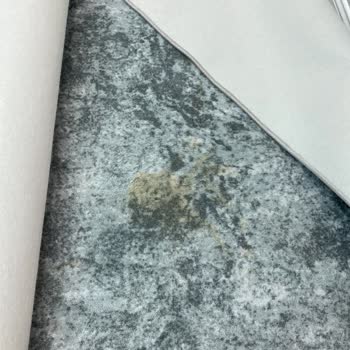 Halı Yıkama Sonrası Islak Ve Kötü Kokulu Halılar, Cevapsız Ve Saygısız Tutum