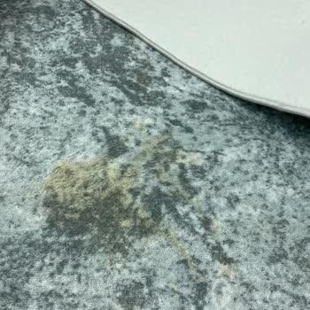 Halı Yıkama Sonrası Islak Ve Kötü Kokulu Halılar, Cevapsız Ve Saygısız Tutum