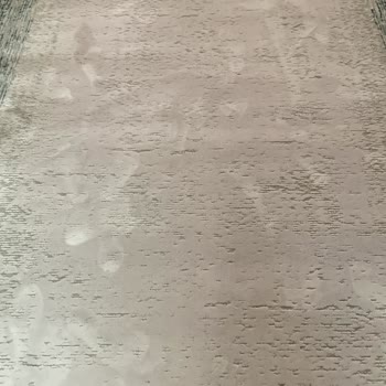 Halı Yıkama Sonrası Islak Ve Kötü Kokulu Halılar, Cevapsız Ve Saygısız Tutum