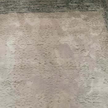 Halı Yıkama Sonrası Islak Ve Kötü Kokulu Halılar, Cevapsız Ve Saygısız Tutum