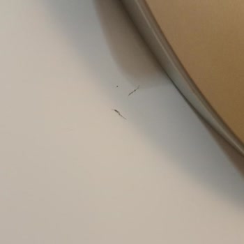 Özel Teknik Servis | 444 15 31 Haksız Ücret, Kırık Panel Ve Kaba Teknisyen!