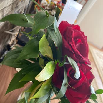 Sevgililer Günü Çiçeği Solmuş Ve Kalitesiz İade Talebi