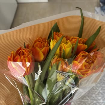 Yanlış Lale Teslimatı Ve Cevapsız İade Talebi