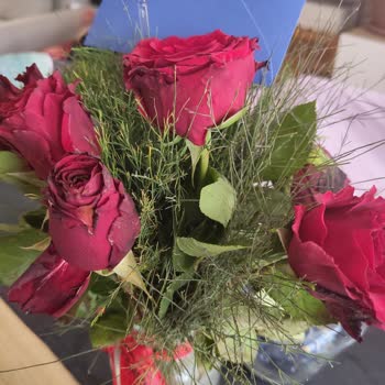 Hızlı Çiçek | Hizlicicek.com Gelen Çiçekler Canlı Ve Özenli Olmaktan Çok Uzak Bir Haldeydi