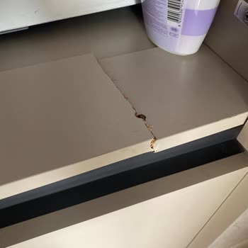 Özaltıntaş Nakliyat mağduriyet yaşama