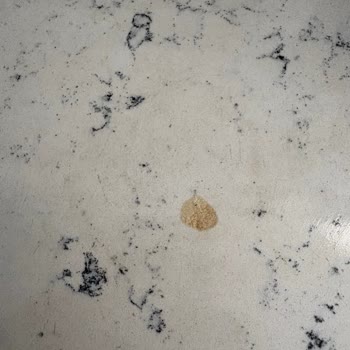 Kelebek Mutfak Tezgahı Ve Evye Üretim Hatası, Yanıtsız Bayi İlgisi