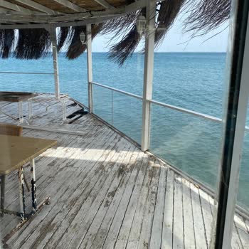 Firuze Restoranında Hijyen İhlali Ve 1.350 TL İade Talebi