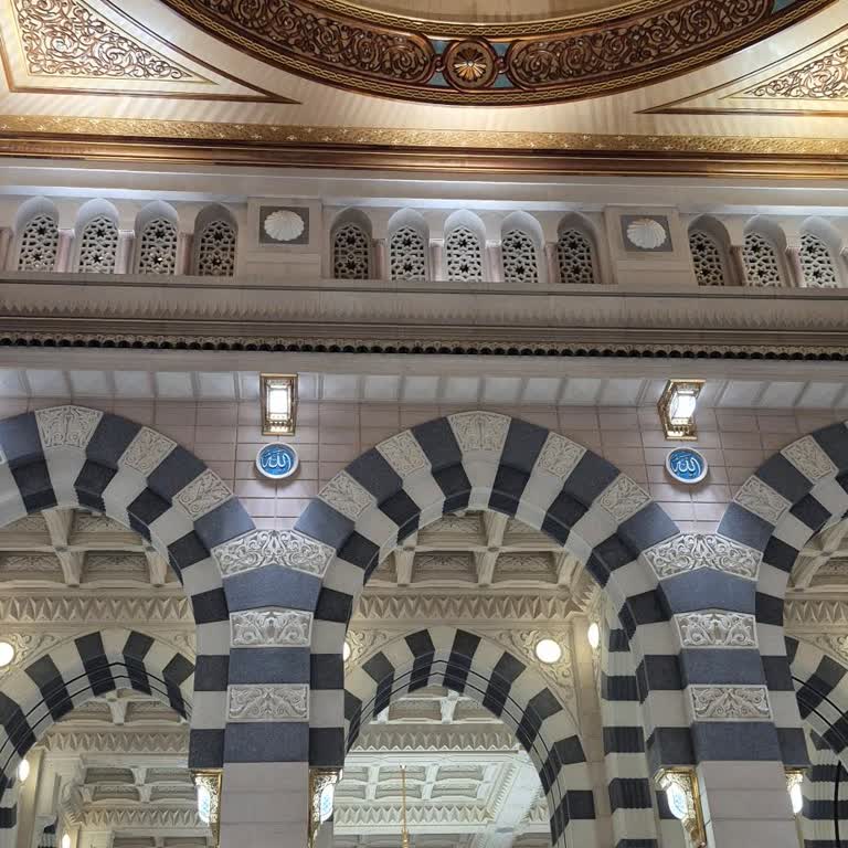 Uçak Aktarmalarında Uzun Bekleme Süreleri Ve Paylaşımlı Odada Mahremiyet İhlali