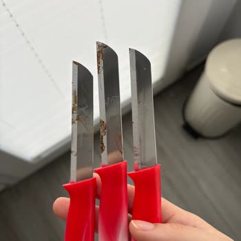 Bulaşık Makinesindeki Pas Lekeleri Ve Servis İlgisizliği