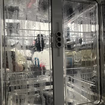 Bulaşık Makinesindeki Pas Lekeleri Ve Servis İlgisizliği