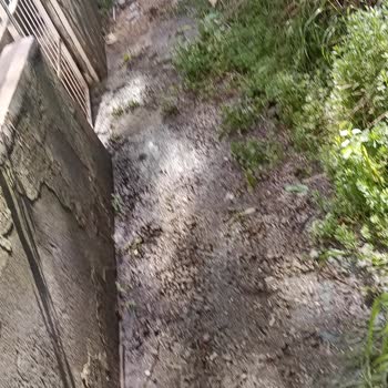 Adana Büyükşehir Belediyesi Rögarların Taşması Ve Acil Müdahale Eksikliği