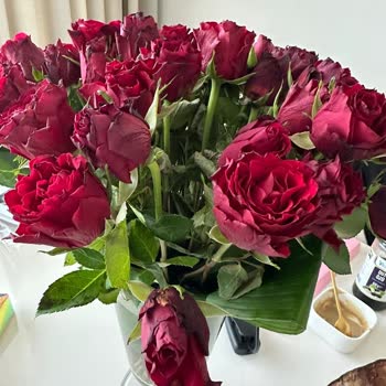 Hızlı Çiçek | Hizlicicek.com Premium 51 Kırmızı Gül Çiçekleri Çökmüş Ve Görsellerle Uyuşmuyor