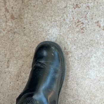 Harley-Davidson Botunda Çoraplara Boya Sızması Ve İç Tabanlık Yırtılması