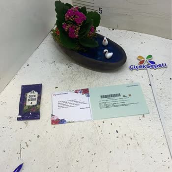 Hasarlı Ve Eksik Hediye Siparişi İçin Acil Çözüm Talebi