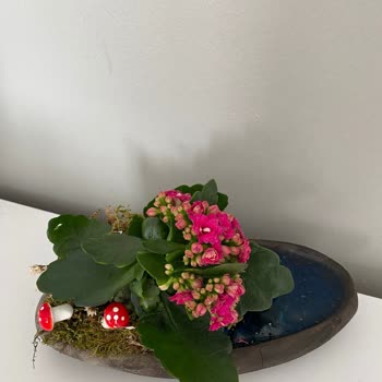 Hasarlı Ve Eksik Hediye Siparişi İçin Acil Çözüm Talebi