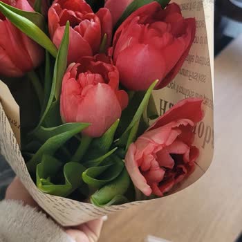 Taze Olmayan Çiçekler Ve Müşteri Hizmetlerine Ulaşılamaması