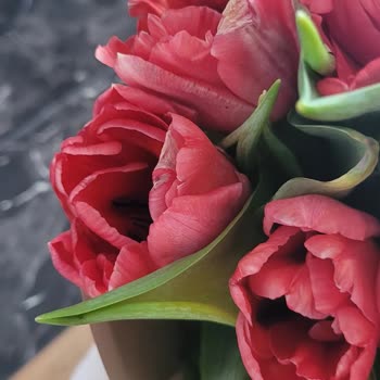 Taze Olmayan Çiçekler Ve Müşteri Hizmetlerine Ulaşılamaması