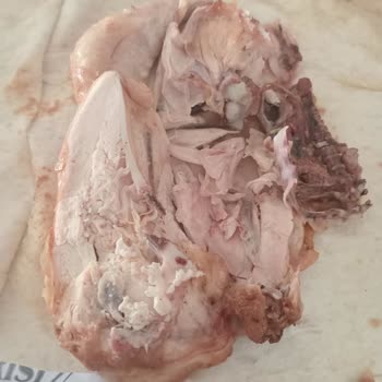 Yemeksepeti Çiğ Ve Kötü Kokulu Piliç Siparişinde Tam İade Talebi