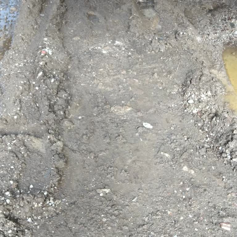 5081 Sokak Yolunun Bataklık Haline Dönmesi Ve Düzeltme Talebi