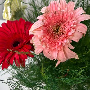 Çürük Buket Ve Yetersiz İade Teklifi