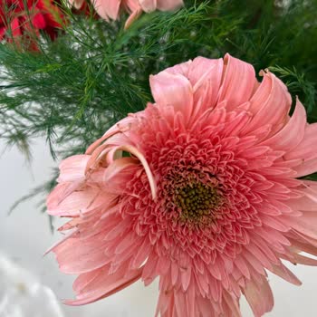 Çürük Buket Ve Yetersiz İade Teklifi