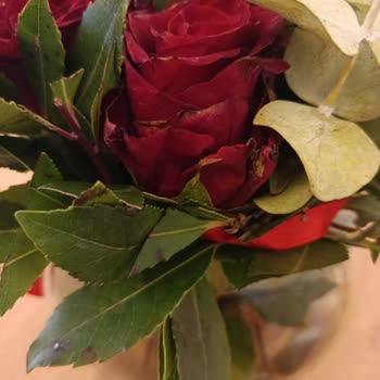 Çiçek Sepeti Siparişimde Solmuş Ve Hasarlı Çiçek Teslimatı