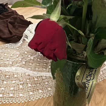 Kurumuş Güller Ve Cevapsız İletişim Nedeniyle Tam İade Talebi