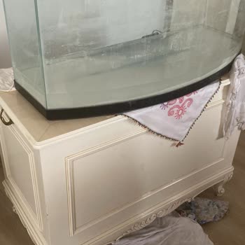 En Pet Shop (Adana) Kusurlu Akvaryum ve Tehditkar Satıcı Sebebiyle İade Ve İnceleme