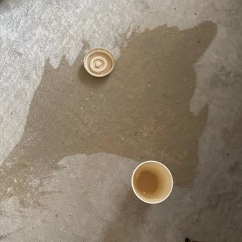 Açık Kapaklı Kahve Siparişi Halıya Döktü, Ücret İadesi Ve Halı Yıkama Masrafı Talebi