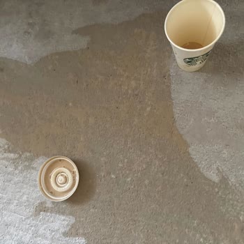 Açık Kapaklı Kahve Siparişi Halıya Döktü, Ücret İadesi Ve Halı Yıkama Masrafı Talebi