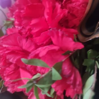 Çiçek Sepeti'nden Ayıplı Çiçek Gönderimi Ve Tam İade Talebi