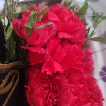 Çiçek Sepeti'nden Ayıplı Çiçek Gönderimi Ve Tam İade Talebi