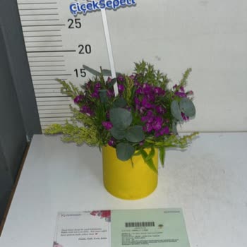 Solmuş Ve Görseldekiyle Uyuşmayan Çiçek Gönderimi Üzerine Şikayet