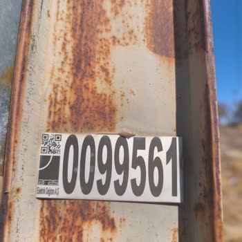 Aras Elektrik Direğinin Arsadan Kaldırılmaması Ve Cevapsız Başvuru