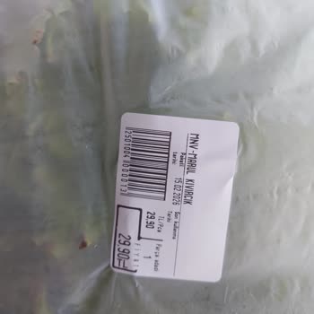 Çorum Güneş Gros’ta Marul Çürüklüğü Kontrol Edilmedi