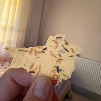 Akdo Pastaneleri Ürününden Sinek Çıktı