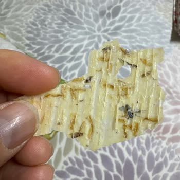 Akdo Pastaneleri Ürününden Sinek Çıktı