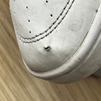 Deichmann'da Puma Ayakkabısının Üç Ayda Yırtılması Ve Kalite Şikayeti