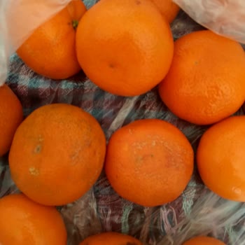 Migros Sanal Market'te Bozuk Ananas Ve Mandalinalar Ücret İadesi Talebi