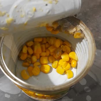 Tukaş Konserve Mısırda Küflenme Ve Ekşi Tat Şikayeti